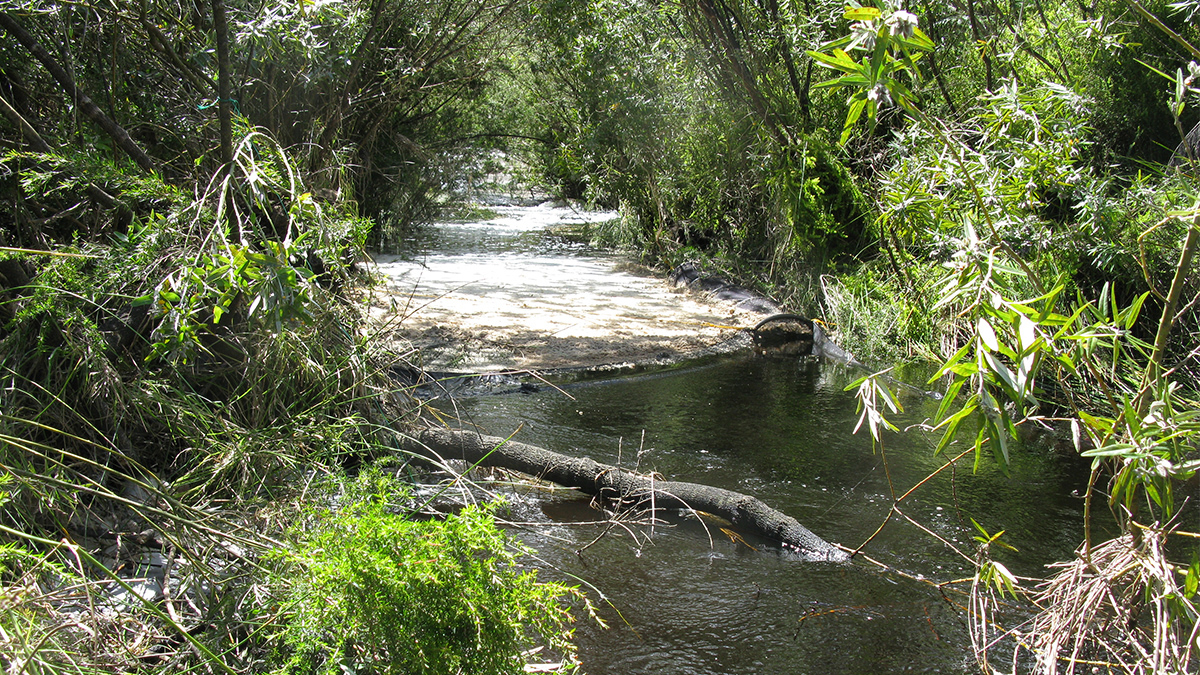 Angove River