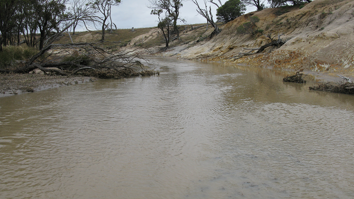 Peniup Creek