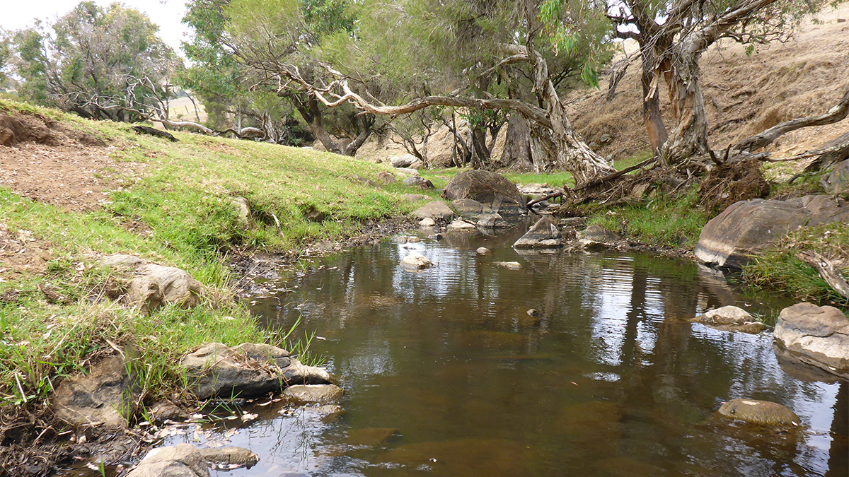 Wokalup Creek
