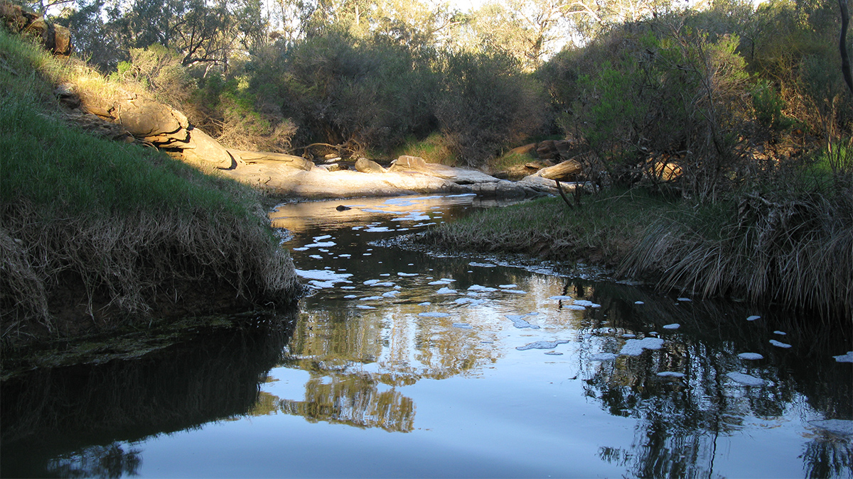 Moore River East Branch