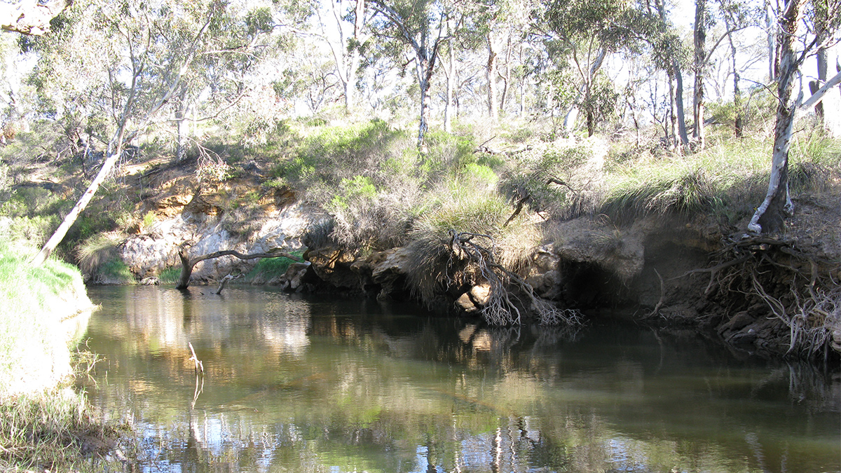 Moore River East Branch