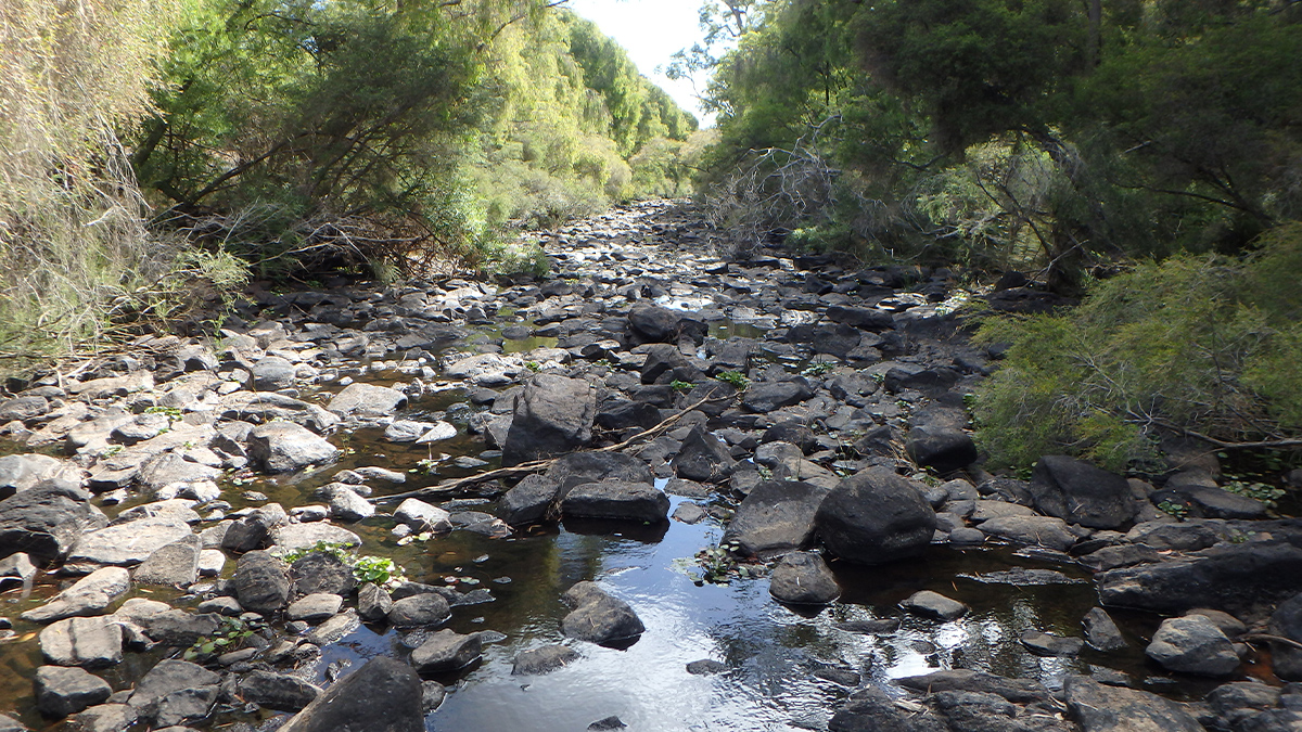 Donnelly River