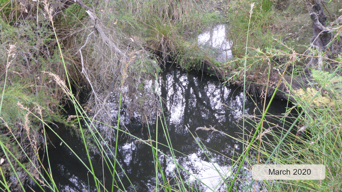Chelgiup Creek
