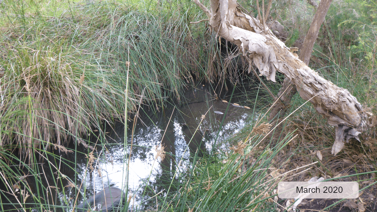 Chelgiup Creek