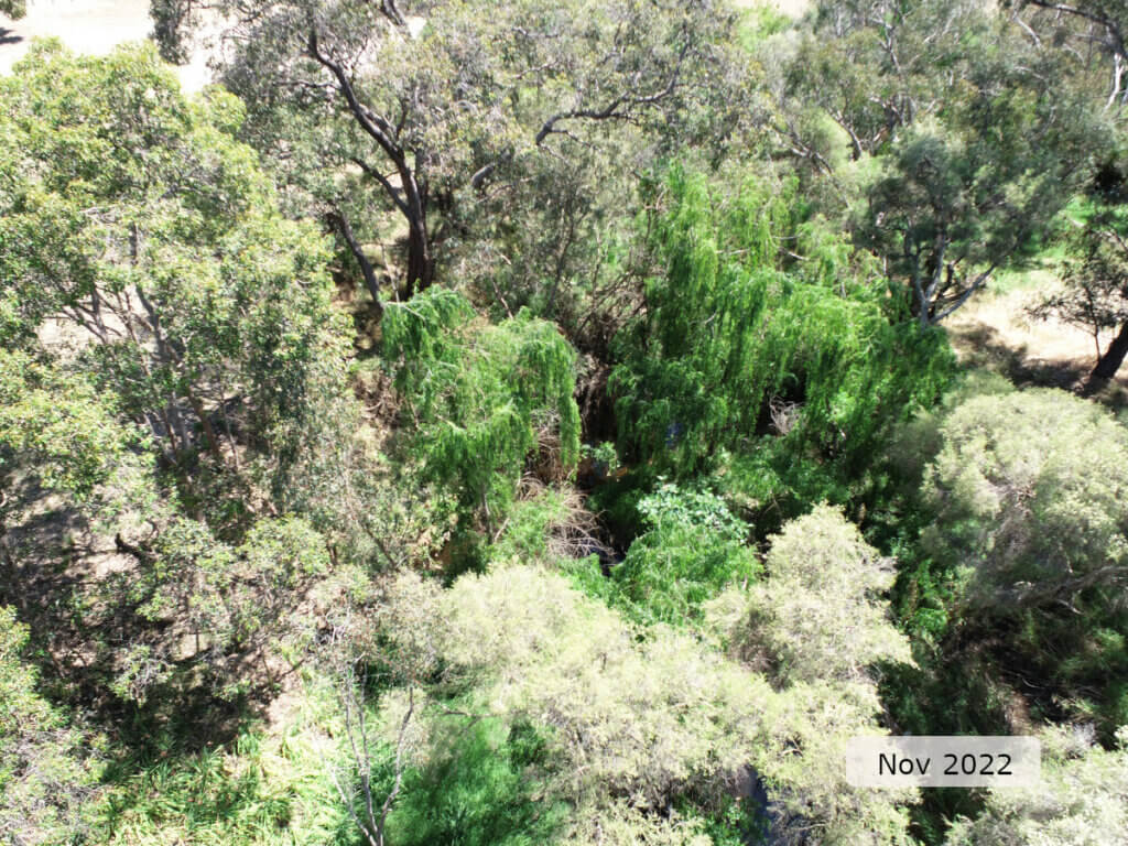 An aerial image showing riparian tree canopy cover of the river channel.