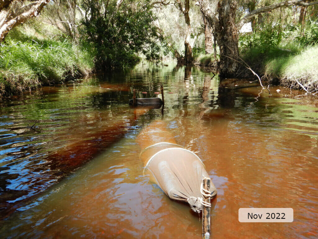 An image showing a fyke net set in the channel and riparian vegetation at the Shearwater Way site