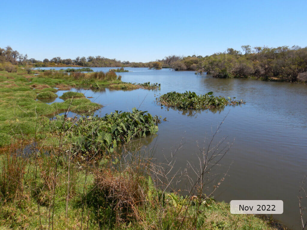 An image of the Wattledale Road site showing the complex wetland-channel interaction on the bank.